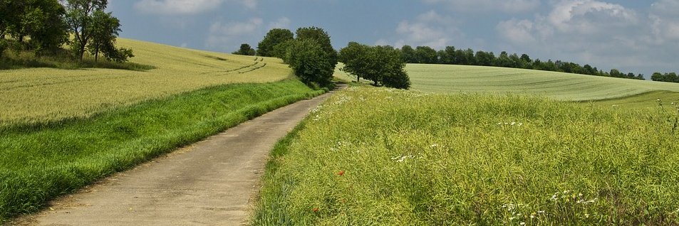 Feldweg